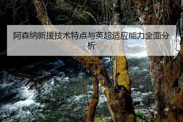 阿森纳新援技术特点与英超适应能力全面分析